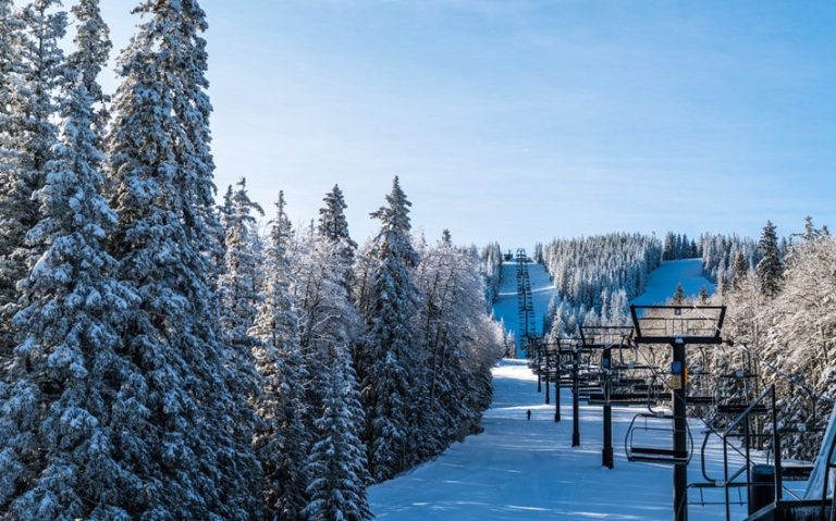 Five U.S. Cities That Come Alive When the Temperature Drops